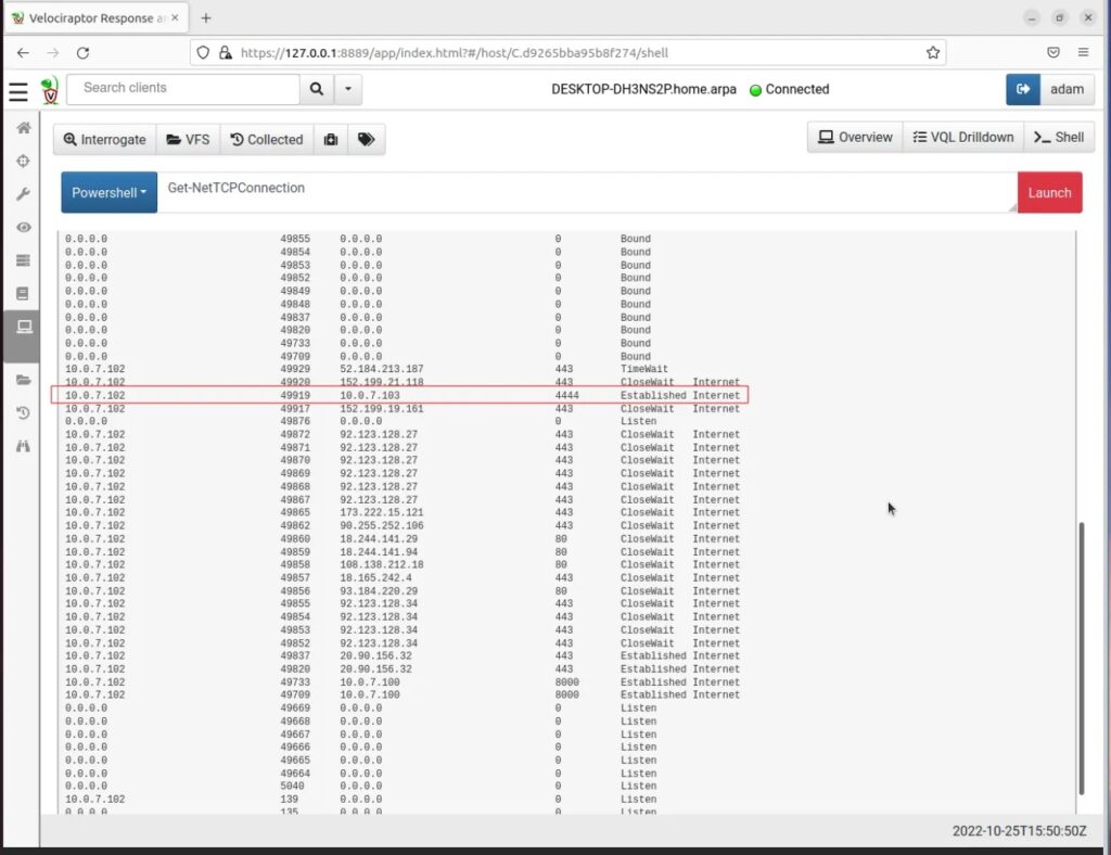 Finding Reverse Shell in Velociraptor Output