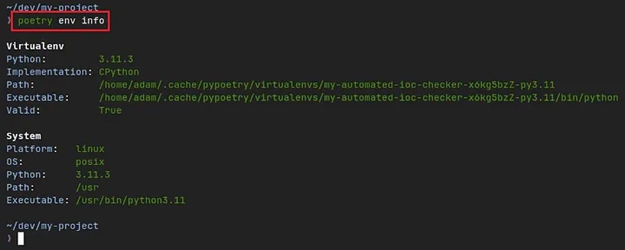 Getting Virtual Environment Information with Poetry