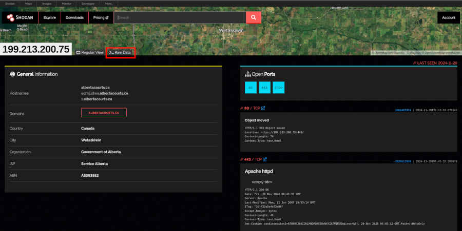 Raw Data Tab in Shodan