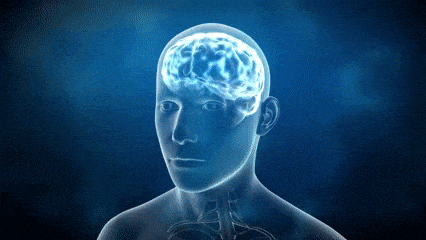 From Free to Enterprise: Threat Intelligence Platforms Explained Threat intelligence Platform Brain